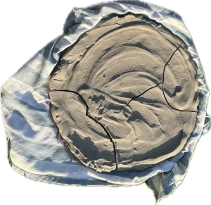 Cendres séchées - image-21-2000