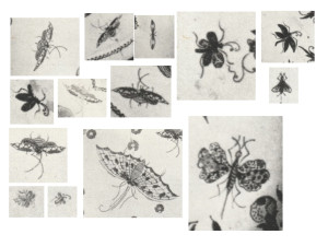 Insect Hunt - vaultier_mrah_insect_hunt_presentation_01202_4