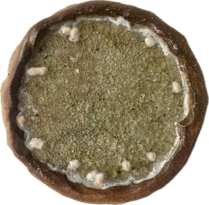 Pizza saggar - image-3-2000
