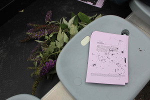 Vlinderstruik - img_6595_spinningplot_72dpi