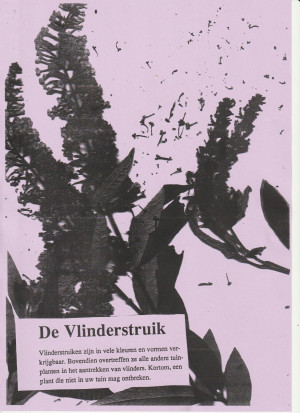 Vlinderstruik - vlinderstruik_leaflet_recto-1